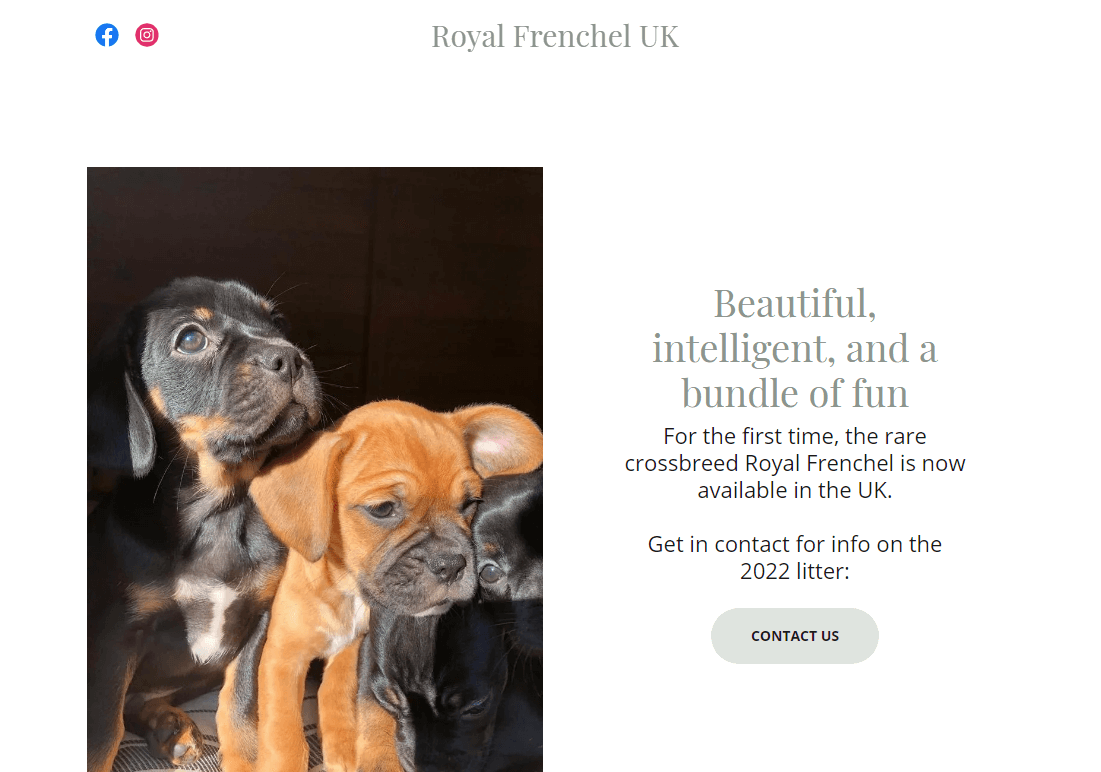 Royal Frenchel UK homepage